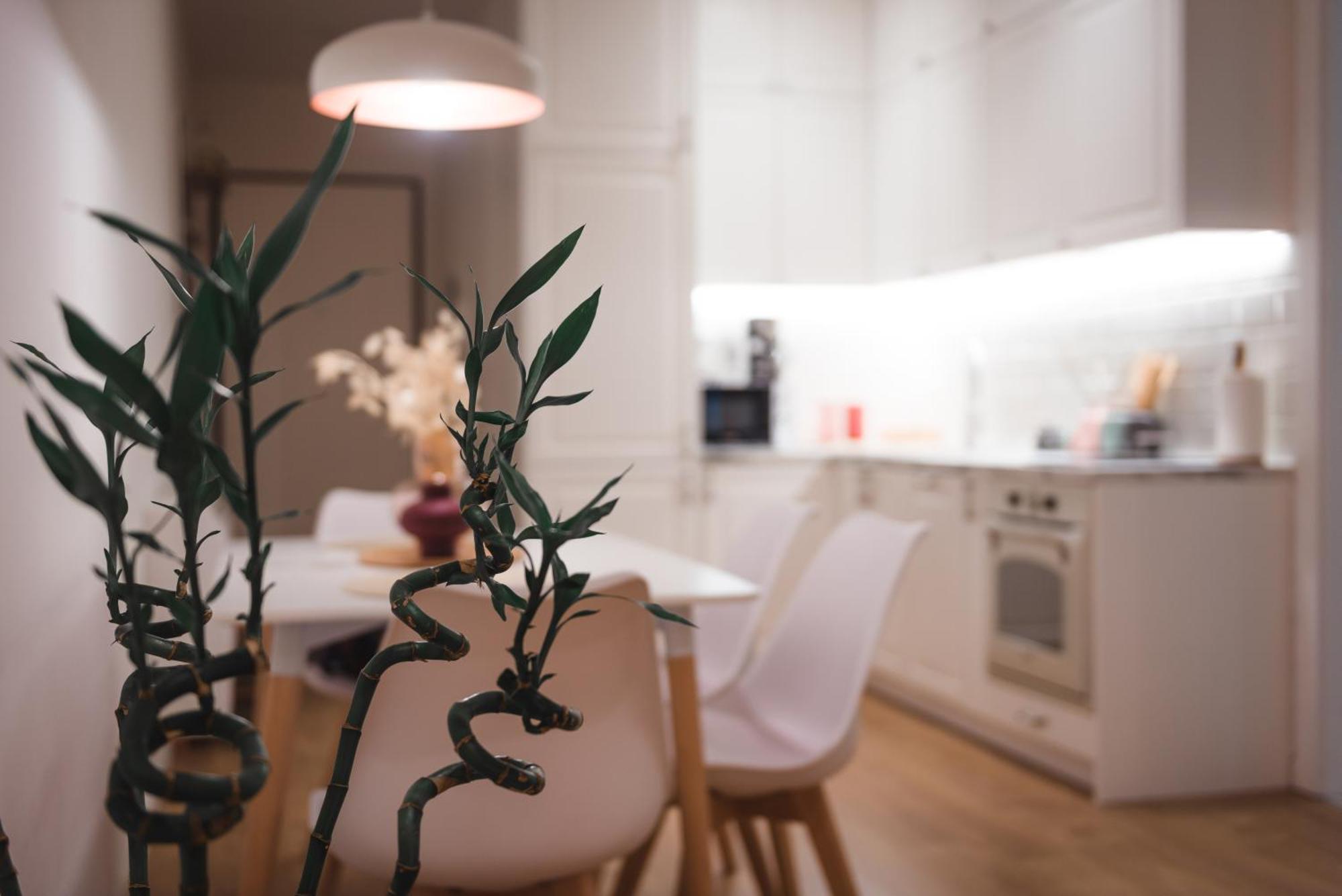 Tam Skanderbeg Square Serviced City Center Apartment No1 Tiranë Eksteriør bilde